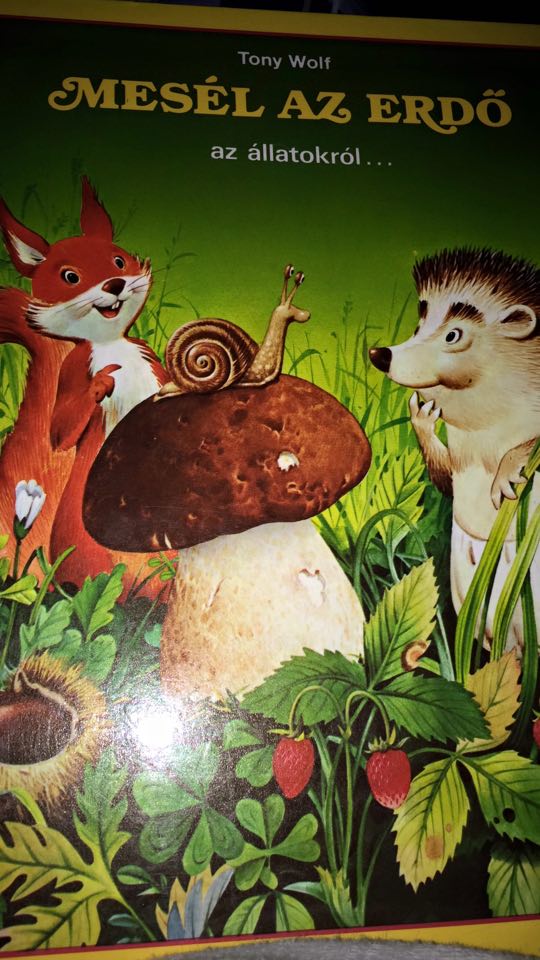 12336054_912031458866004_1994999375_n