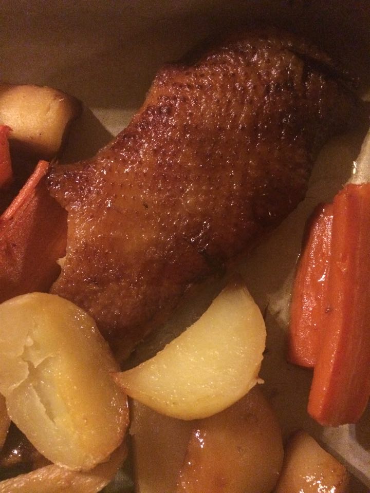 12434693_922682651134218_1262546938_n