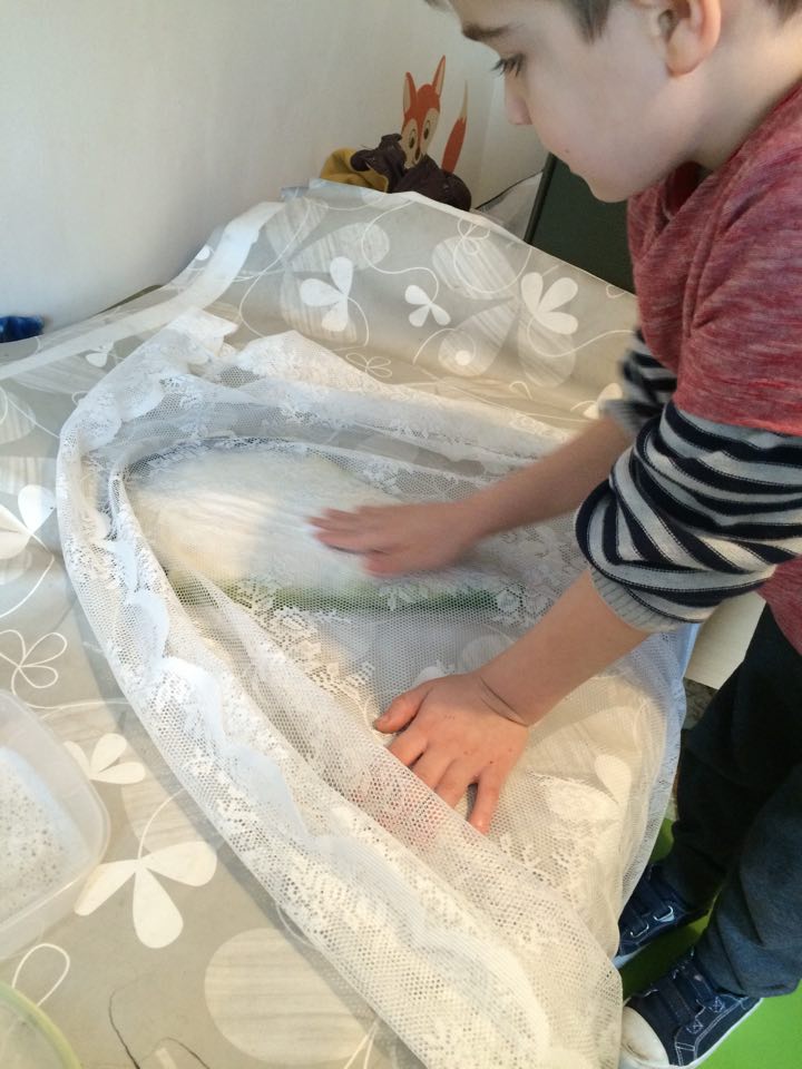 12606728_936189996450150_1575114195_n