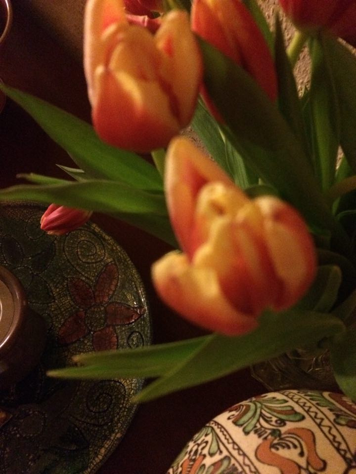 12606939_936190916450058_67374053_n (1)