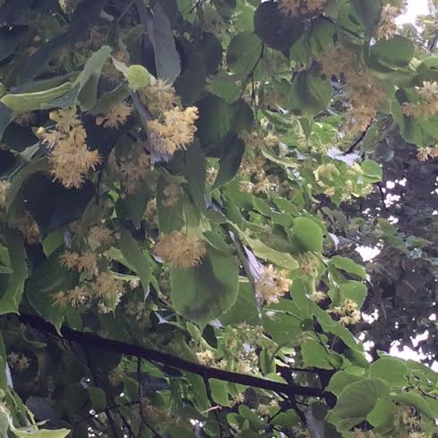 4248267d-9b9b-4095-b556-f7601d42195c