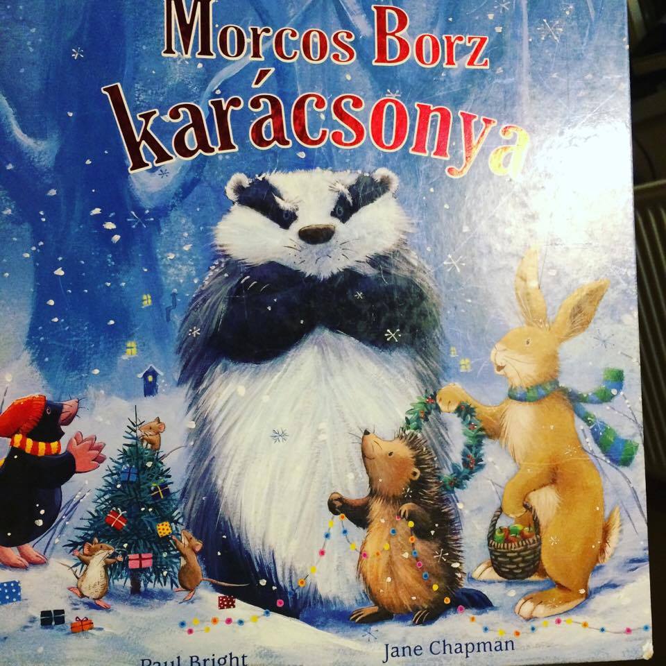 15497625_1163116690424145_822013806_n