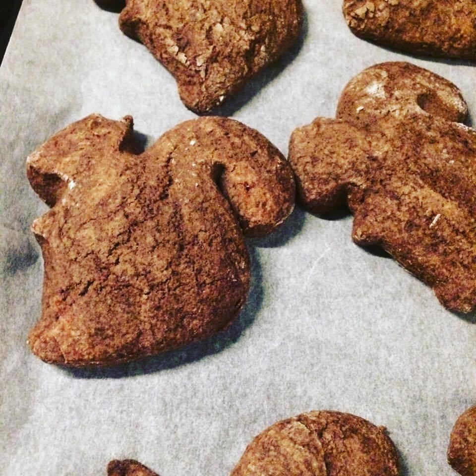 15841319_1178456935556787_170618843_n