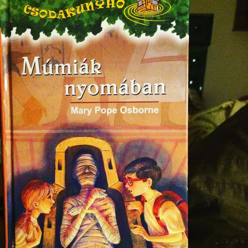 15870686_1178456952223452_1687892862_n