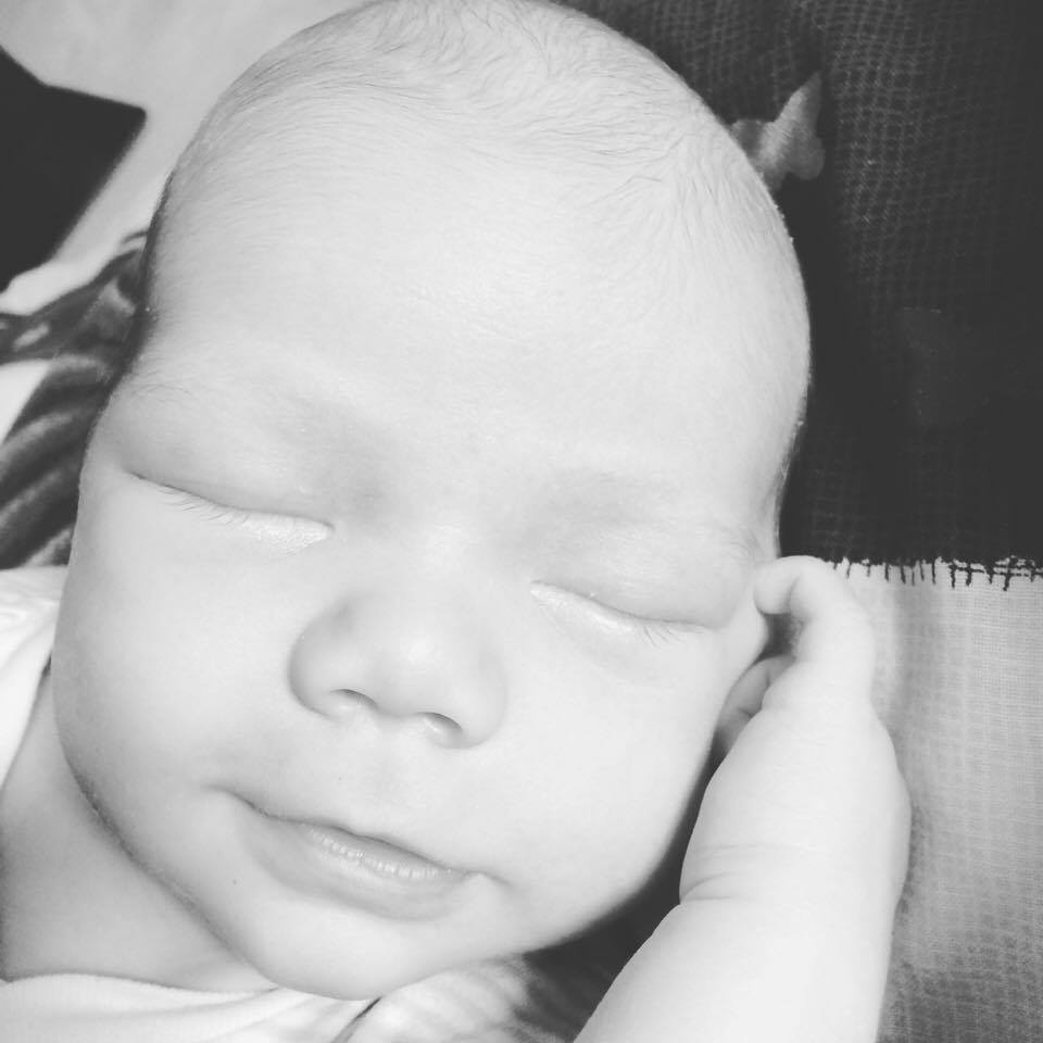 18337343_1295143880554758_787558869_n