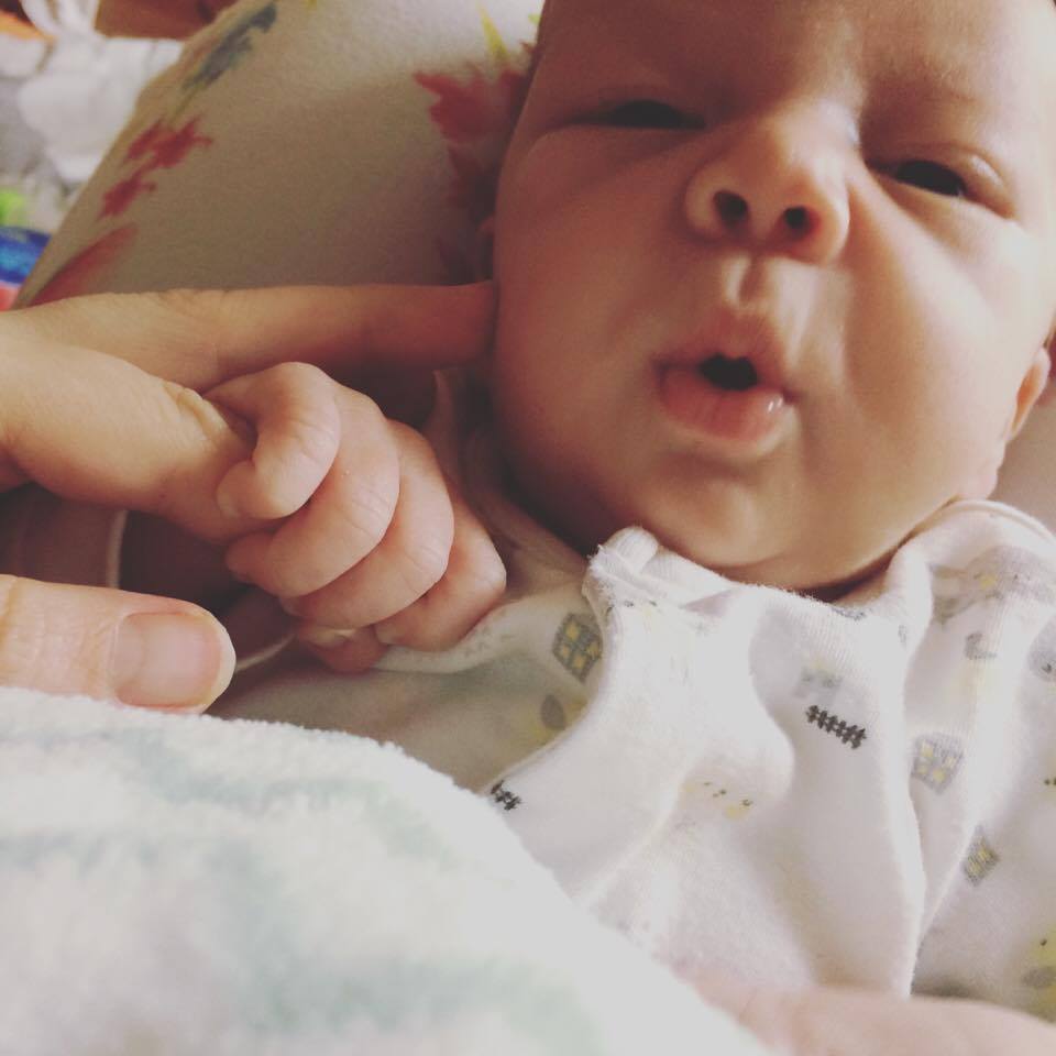 18360498_1295143867221426_1165153104_n